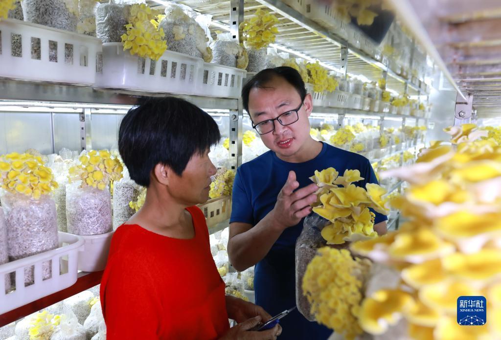 98娱乐网手机登录